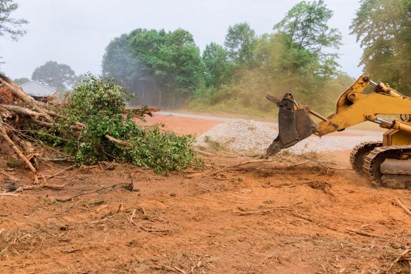 Forestry Mulching Service in Vallejo