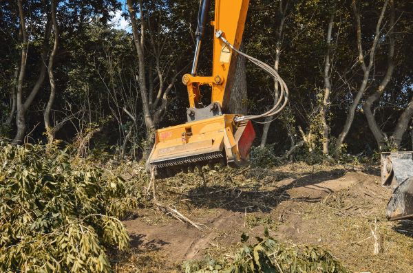 Brush Removal Service in Vallejo