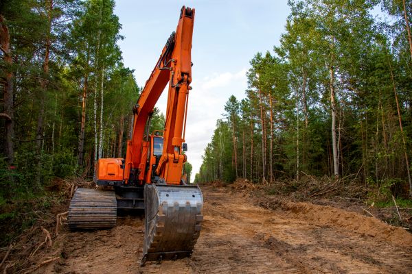 Cost of Backhoe Land Clearing in Vallejo