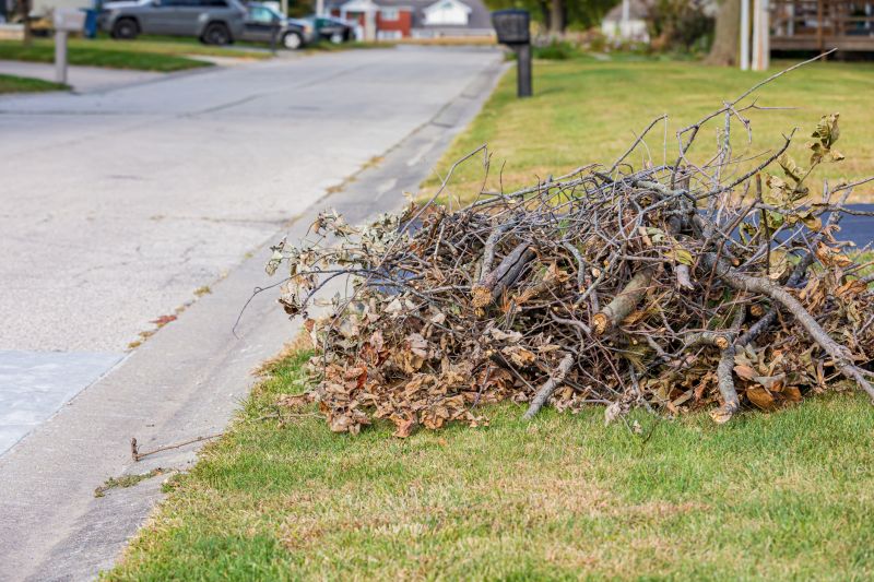 Tree and Brush Disposal