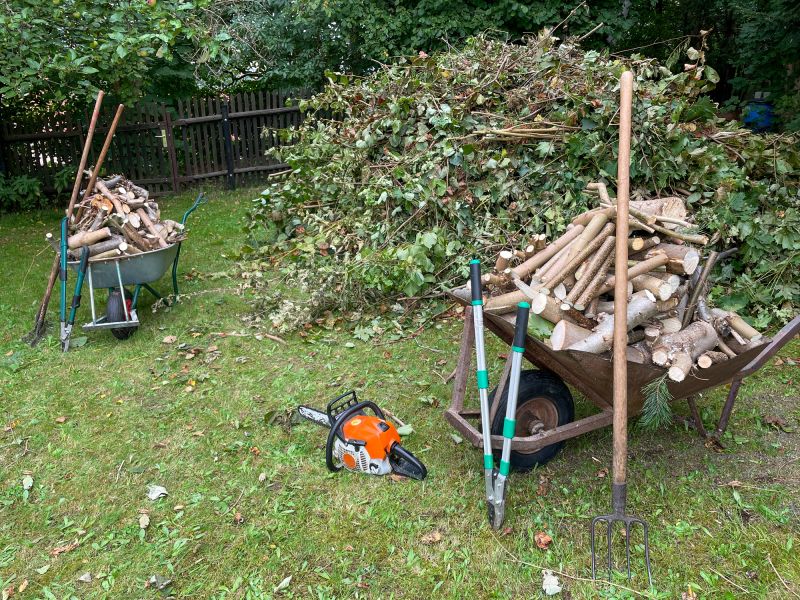 Tree and Debris Removal Services