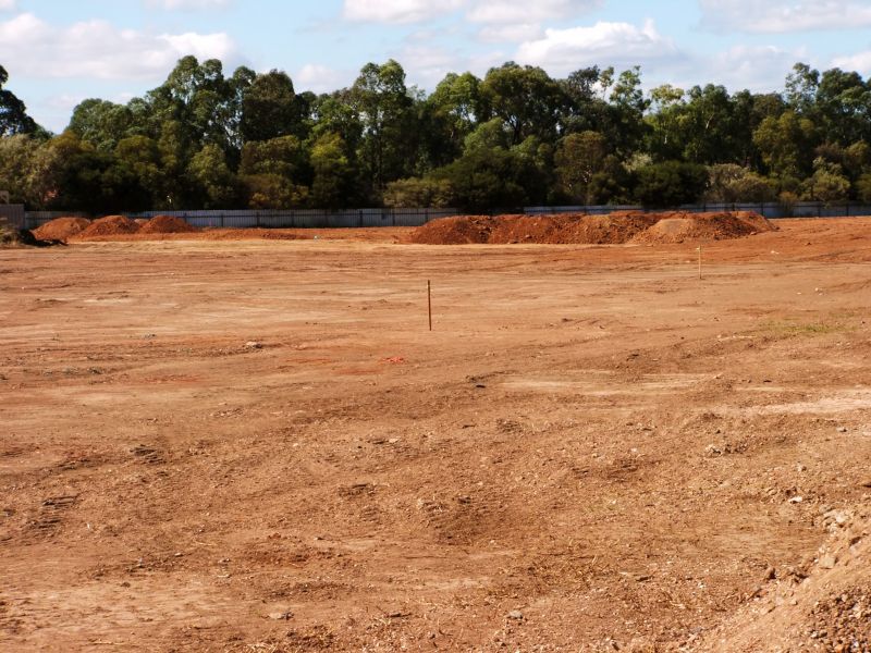 Site Evaluation and Planning